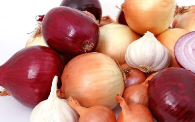 Homemade Garlic Powder and Onion Powder: Your Kitchen’s Secret Weapons